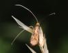 349640 – Photo : Yoann Pelouard – France (48)